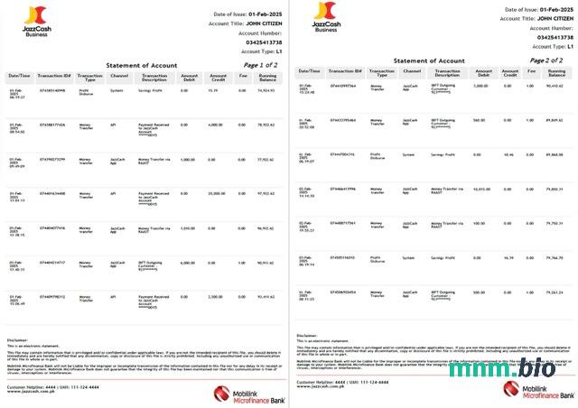 Pakistan Mobilink mikrofinansowy wyciąg bankowy z konta Word i szablon PDF, 2 strony, Wersja 2